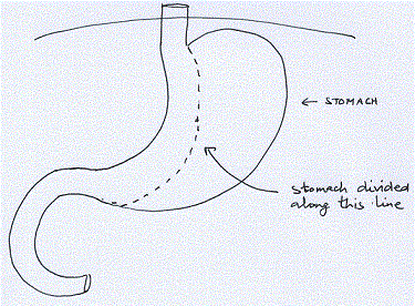 Figure 2 28.gif